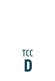 TYPO3 CMS Certified Developer