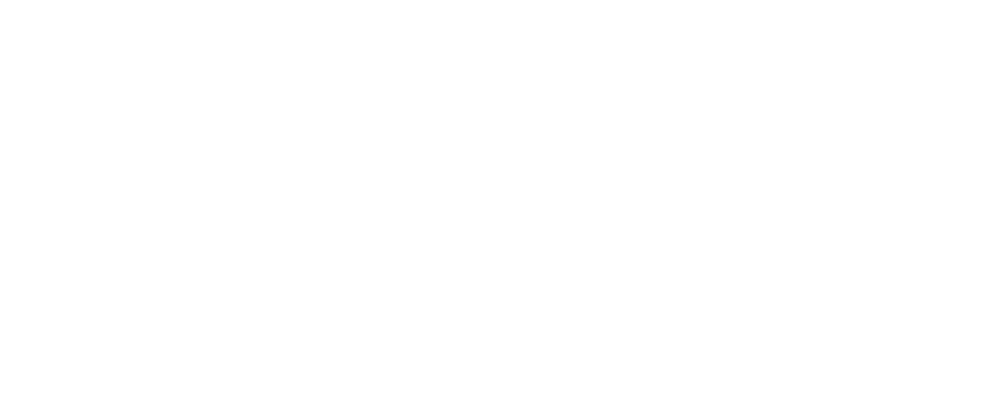 IONOS Agency Partner